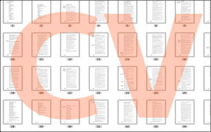 curriculum vitae
